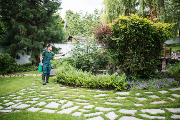How Our Tree Care Process Works  in  Port Washington North, NY